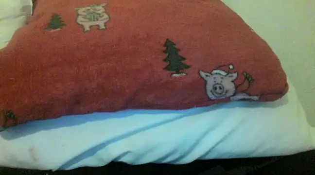 Snapshot of bunnyamy chatting on December 5, 2024, 6:00 pm bunnyamy online show from December 5, 2024, 6:00 pm