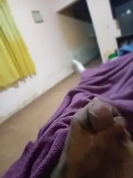 Snapshot of carloshot31 chatting on March 31, 2026, 8:48 am carloshot31 online show from March 31, 2026, 8:48 am