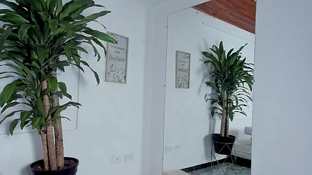 Meli Meli online show from February 27, 2025, 4:09 am