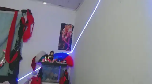 MarceloMilk online show from December 28, 2024, 3:37 am