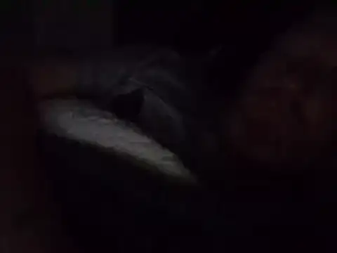 muffgoldcock online show from December 25, 2024, 10:37 pm