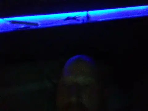 muffgoldcock online show from February 9, 2025, 4:36 am