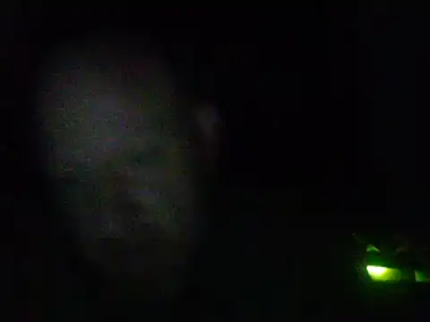 muffgoldcock online show from March 18, 2025, 4:15 am