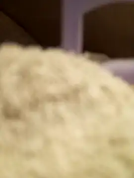 FlacoDani online show from April 28, 2026, 4:45 pm