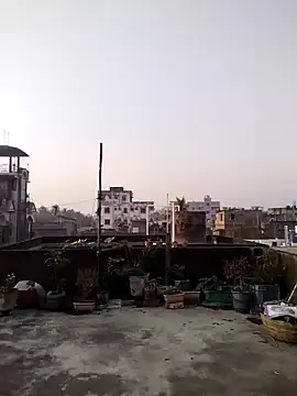 Jeetshine 1234 online show from December 12, 2024, 1:32 am