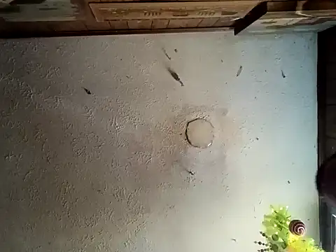 Snapshot of realoneNocap chatting on November 12, 2025, 5:57 pm realoneNocap online show from November 12, 2025, 5:57 pm