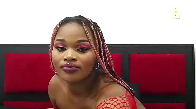 Catalia404 online show from December 20, 2024, 10:49 am