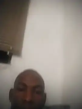 zuludog online show from June 8, 2026, 4:02 am