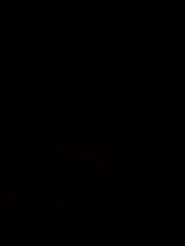 Snapshot of Feli230990 chatting on October 8, 2025, 7:50 am Feli230990 online show from October 8, 2025, 7:50 am