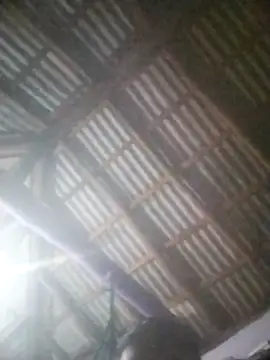 Snapshot of Feli230990 chatting on April 8, 2026, 5:18 am Feli230990 online show from April 8, 2026, 5:18 am