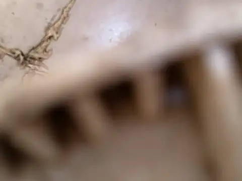 small131 online show from March 17, 2025, 6:29 am