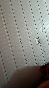 frotasso online show from January 1, 2025, 10:32 am