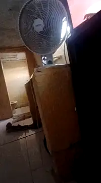 frotasso online show from March 4, 2025, 2:42 pm