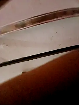 frotasso online show from October 23, 2025, 11:14 pm