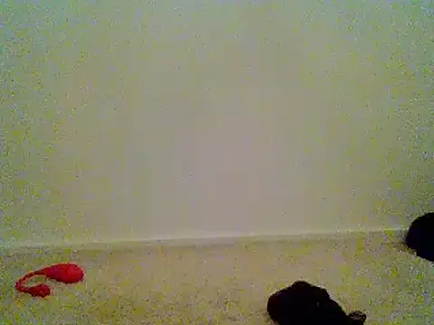 toy control online show from December 11, 2024, 3:58 pm