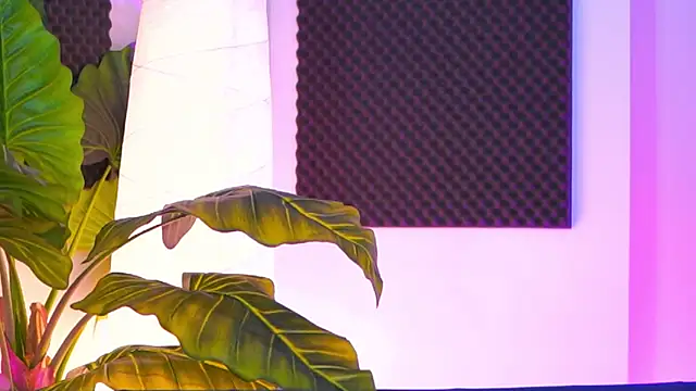 Jenna Day online show from November 16, 2025, 4:40 am