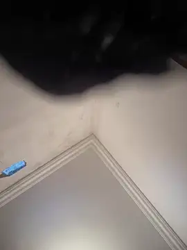 Snapshot of hot_girl_dina chatting on February 8, 2025, 11:01 am hot girl dina online show from February 8, 2025, 11:01 am