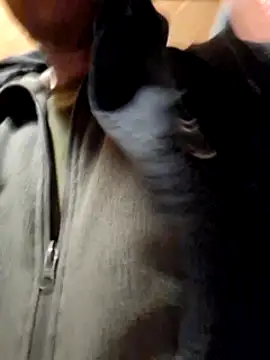 Romakappa1812 online show from April 1, 2026, 6:38 pm