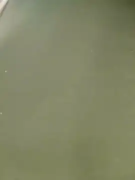 Snapshot of Miss_balloonsmila chatting on January 22, 2025, 9:54 pm Miss balloonsmila online show from January 22, 2025, 9:54 pm