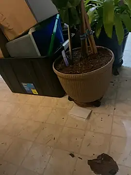 Thickirishcock850 online show from March 23, 2026, 9:24 am