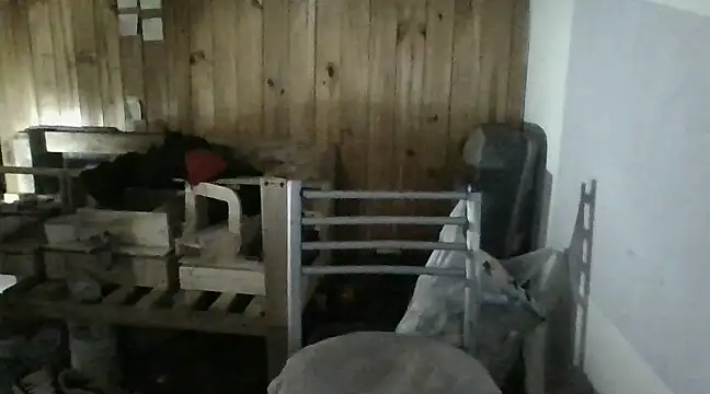 Snapshot of italianbighorse22 chatting on January 18, 2025, 6:03 am italianbighorse22 online show from January 18, 2025, 6:03 am