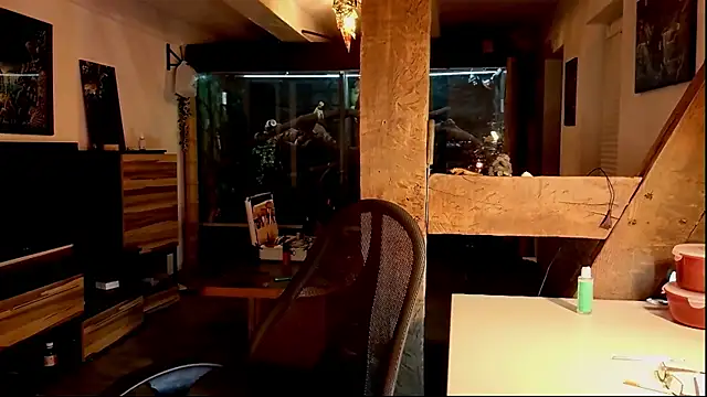 Snapshot of DYasmin69 chatting on November 1, 2025, 8:55 pm DYasmin69 online show from November 1, 2025, 8:55 pm