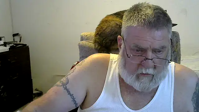 viejo oso online show from February 16, 2026, 12:51 am