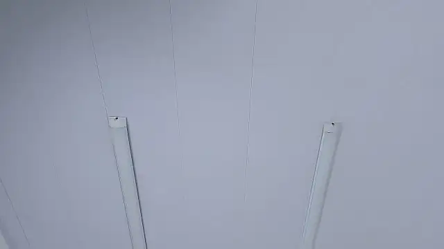 IsabellRodriguez18 online show from October 31, 2025, 2:56 am