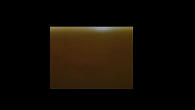 berberson online show from December 30, 2024, 8:43 am