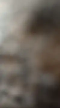 mksharma-mastlund online show from January 27, 2025, 3:47 am