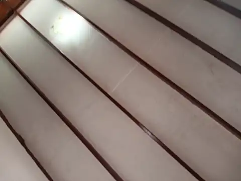 Rocket1978 online show from February 10, 2026, 2:43 pm