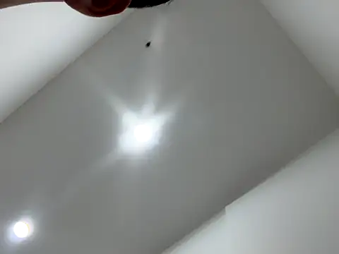 Snapshot of Sexocokin chatting on December 16, 2025, 1:16 pm Sexocokin online show from December 16, 2025, 1:16 pm