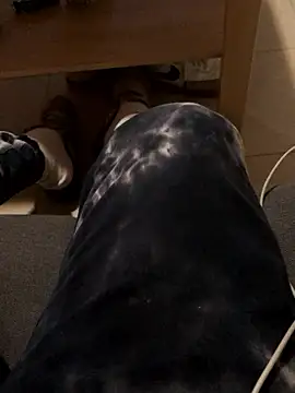 josueswvillaA1 online show from January 12, 2026, 3:06 pm