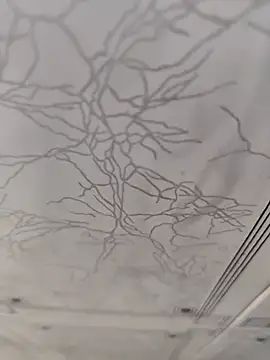 dreamers dick online show from January 2, 2025, 4:13 pm