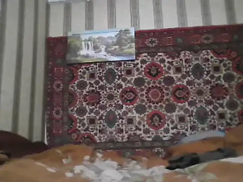 AlferezzSolvajo online show from February 3, 2025, 5:56 pm