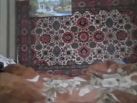 AlferezzSolvajo online show from February 8, 2025, 10:51 pm