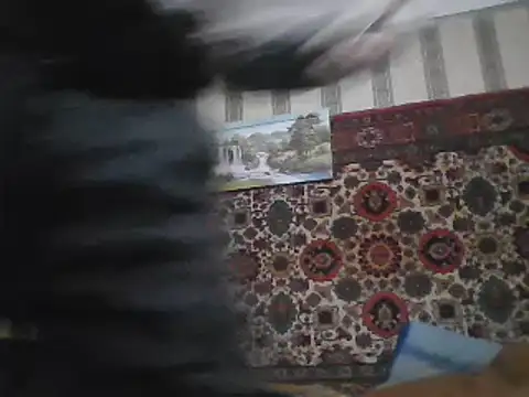 AlferezzSolvajo online show from February 12, 2025, 4:11 pm
