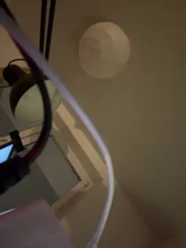 Snapshot of shiny_bunnyyy chatting on January 21, 2025, 5:09 pm shiny bunnyyy online show from January 21, 2025, 5:09 pm