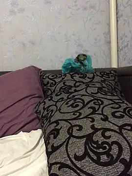 Snapshot of VikiiStoun chatting on September 19, 2025, 6:08 pm VikiiStoun online show from September 19, 2025, 6:08 pm