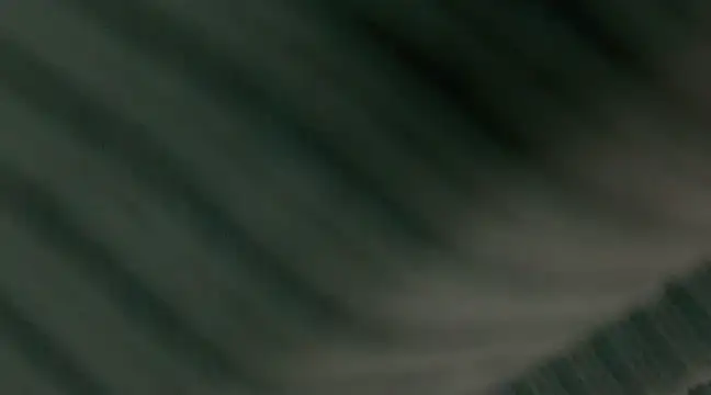 giselao online show from January 15, 2025, 4:15 am