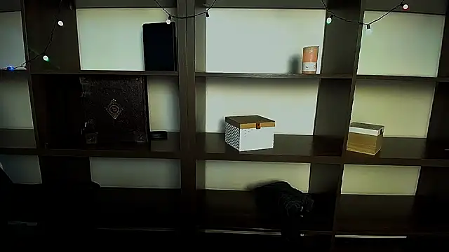 Lexi Jous online show from February 11, 2025, 12:27 pm