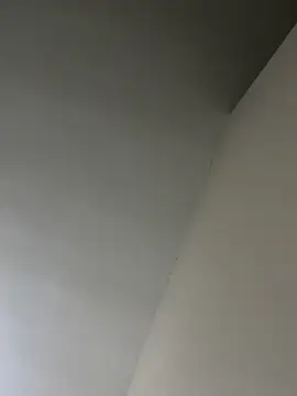 senle12ben online show from January 25, 2025, 5:40 pm