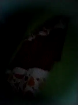 safado0027 online show from November 9, 2025, 8:34 am