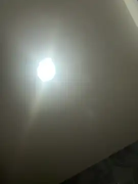 Az 89-23 online show from April 14, 2026, 6:41 am