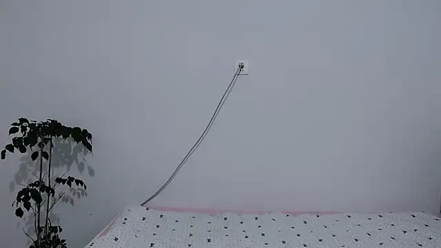                     88 online show from February 3, 2026, 9:53 pm