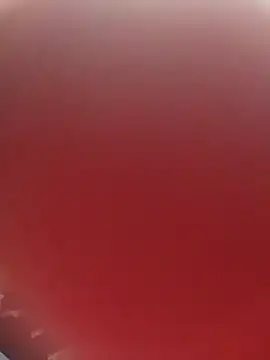 blondaf online show from November 25, 2025, 5:29 am