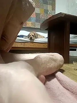 Snapshot of Bisexualhard23 chatting on January 18, 2026, 12:58 am Bisexualhard23 online show from January 18, 2026, 12:58 am