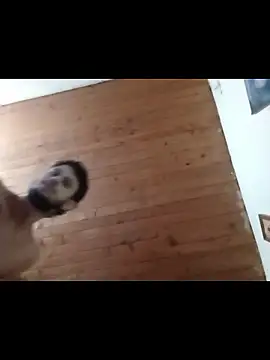 nxus77 online show from December 15, 2025, 6:39 am