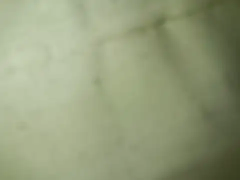 Ktosik88 online show from January 18, 2026, 7:50 pm