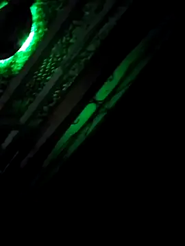 Snapshot of alejo5288 chatting on October 5, 2025, 8:12 am alejo5288 online show from October 5, 2025, 8:12 am